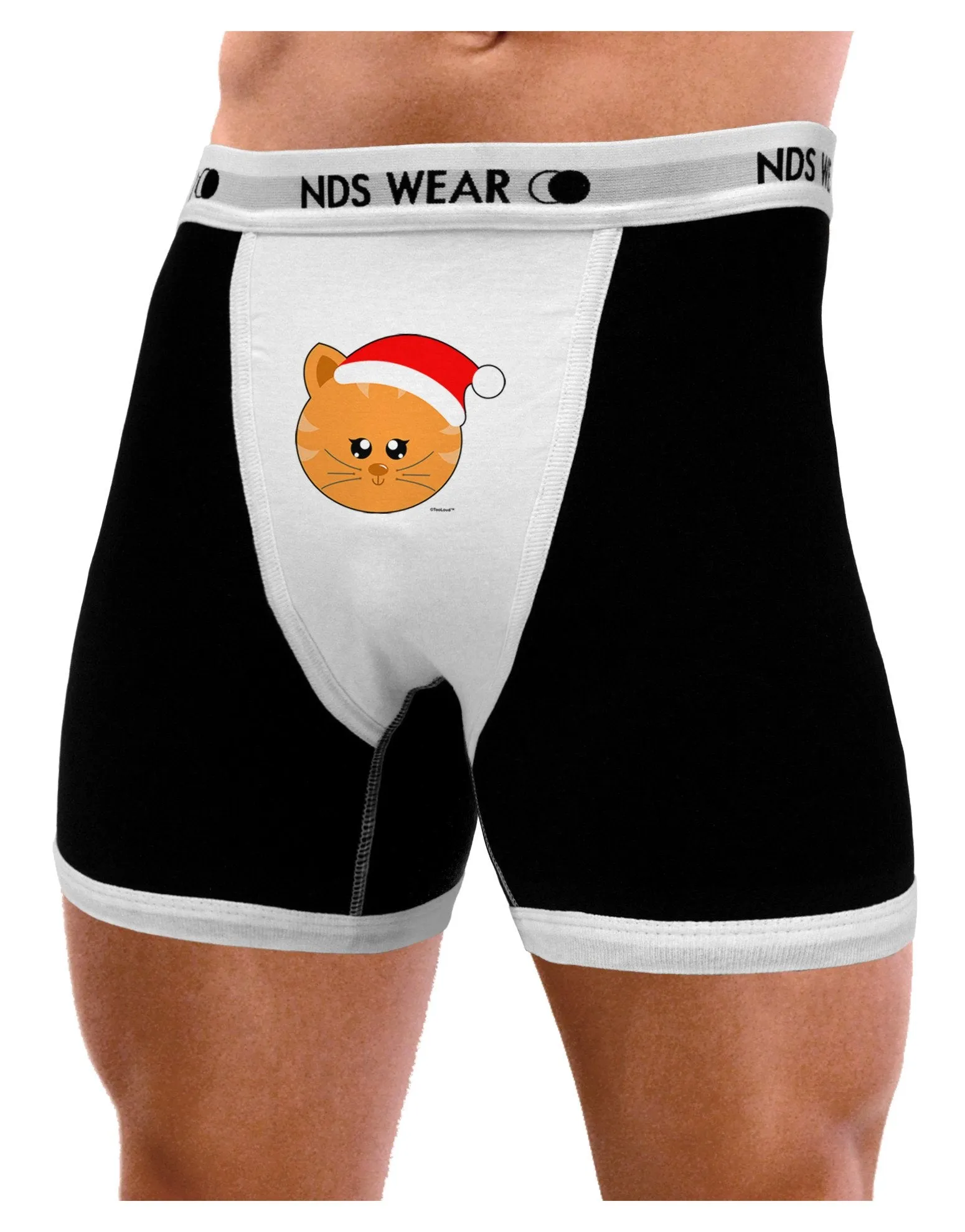 Cute Christmas Cat Santa Hat Mens Boxer Brief Underwear